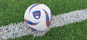 Under 14 - Ecco i gironi e il calendario per le qualificazioni ai campionati regionali U15 della prossima stagione: 59 partecipanti, ne passano 11