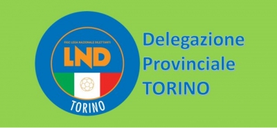 Torino - Ecco i calendari autunnali dei campionati Esordienti e Pulcini della stagione 2020/21