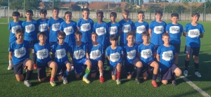 Bruinese 2014