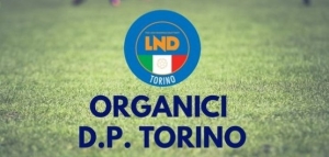 Delegazione di Torino - Pubblicati gli organici della scuola calcio, 104 società e 767 squadre al via. Sisport regina con 37 squadre