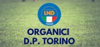 Delegazione di Torino - Pubblicati gli organici della scuola calcio, 104 società e 767 squadre al via. Sisport regina con 37 squadre