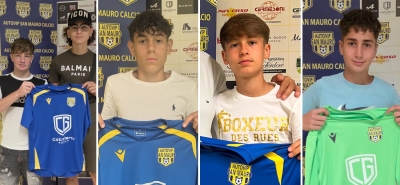 Solidoro e Napolitano (2010), Corona (2011), Buscieti (2012) e Ferciun (2013)
