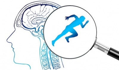 Lo psicologo dello sport. Chi è? Cosa fa? A chi si rivolge?